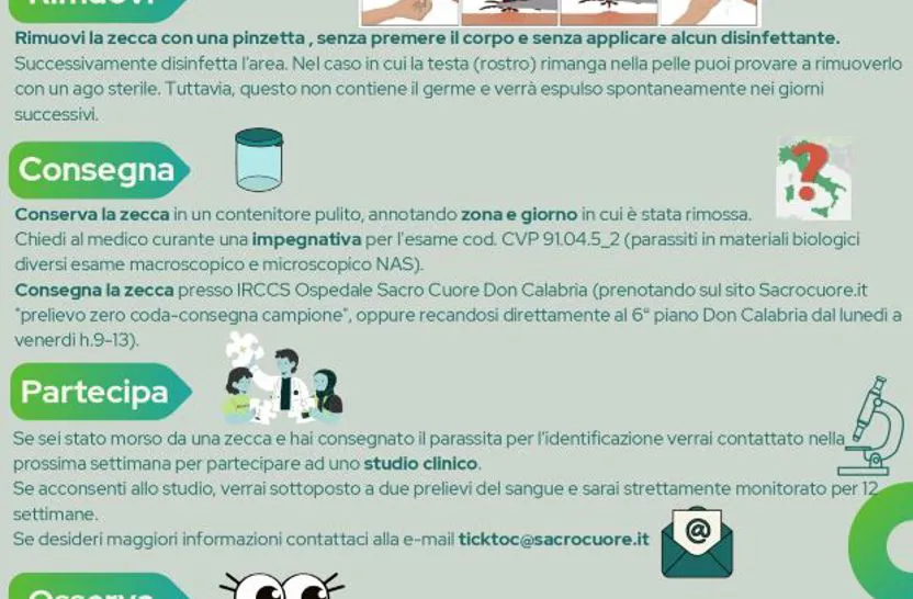 Morso di zecca
